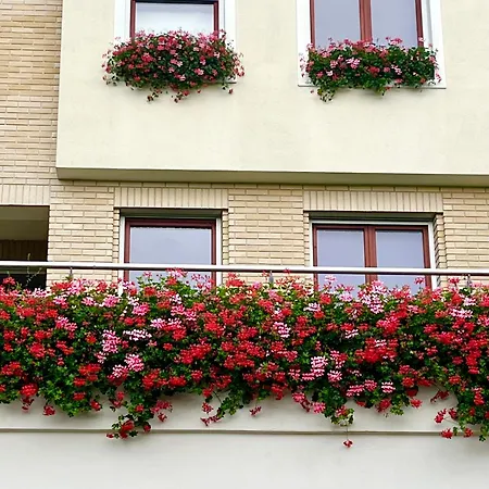 Vendégház Adyliget Relax Boutique *